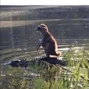 Meet your Posher, Ava